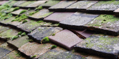 Ceredigion roof repair costs